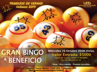 AFICHE BINGO 2014 Ultimo